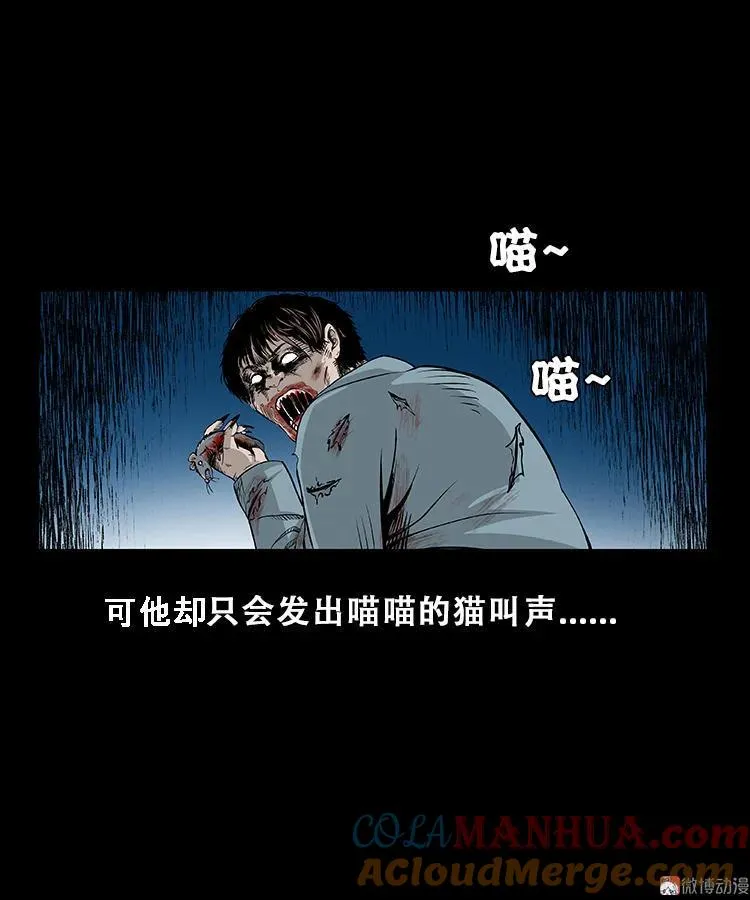 黑猫38