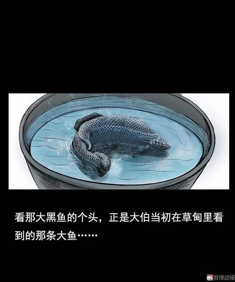 大鱼29