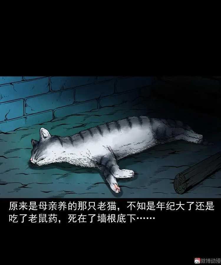 猫老太事件35