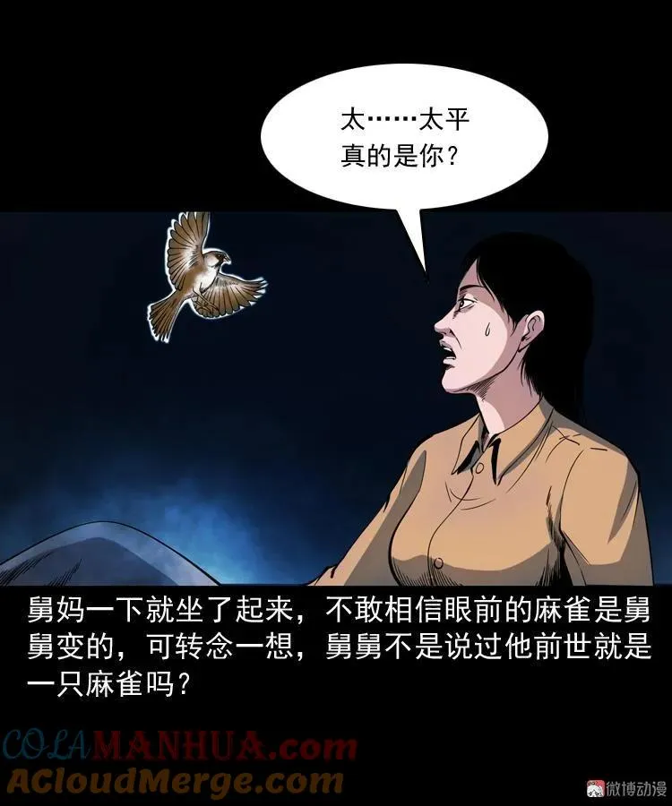 舅舅的故事45