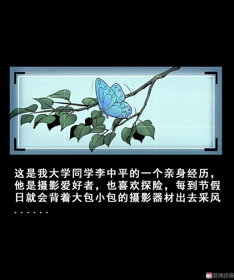 人面獾1