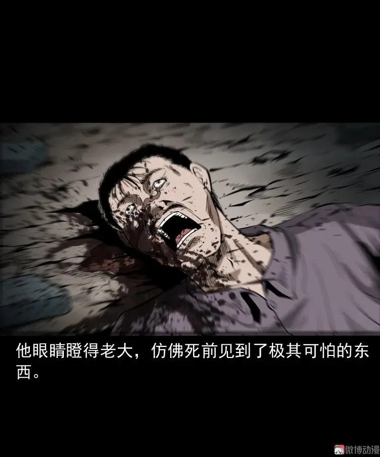 亡魂复仇（下）17