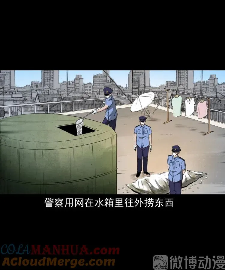 失踪的邻居69