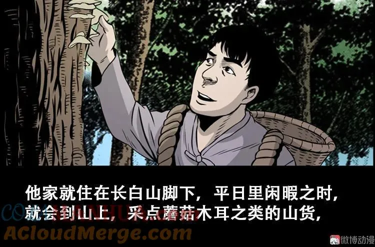 北瓜（上）3