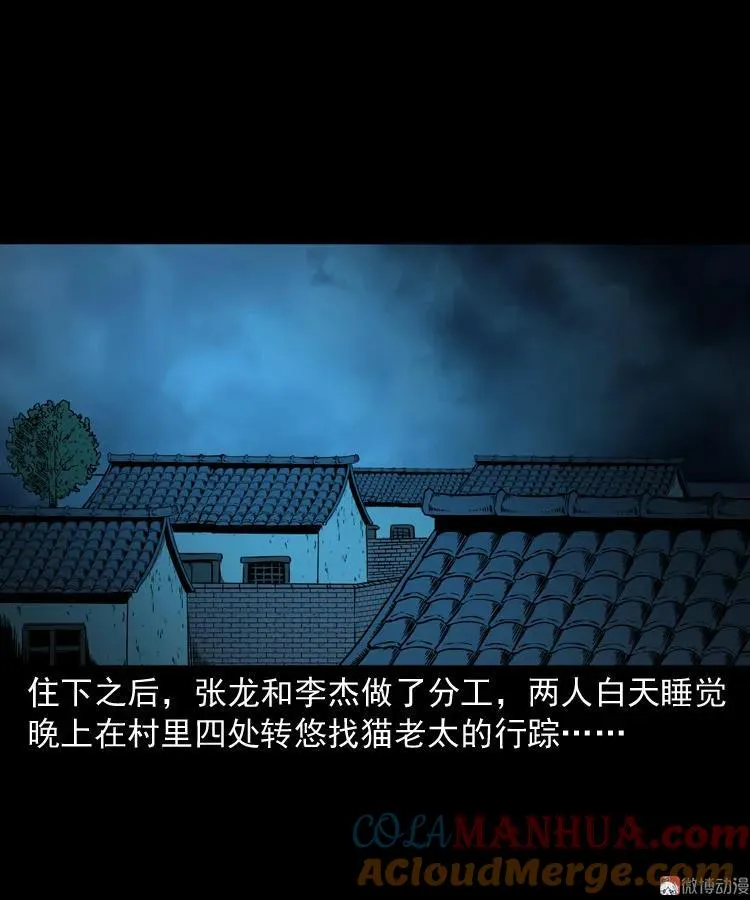 猫老太事件72