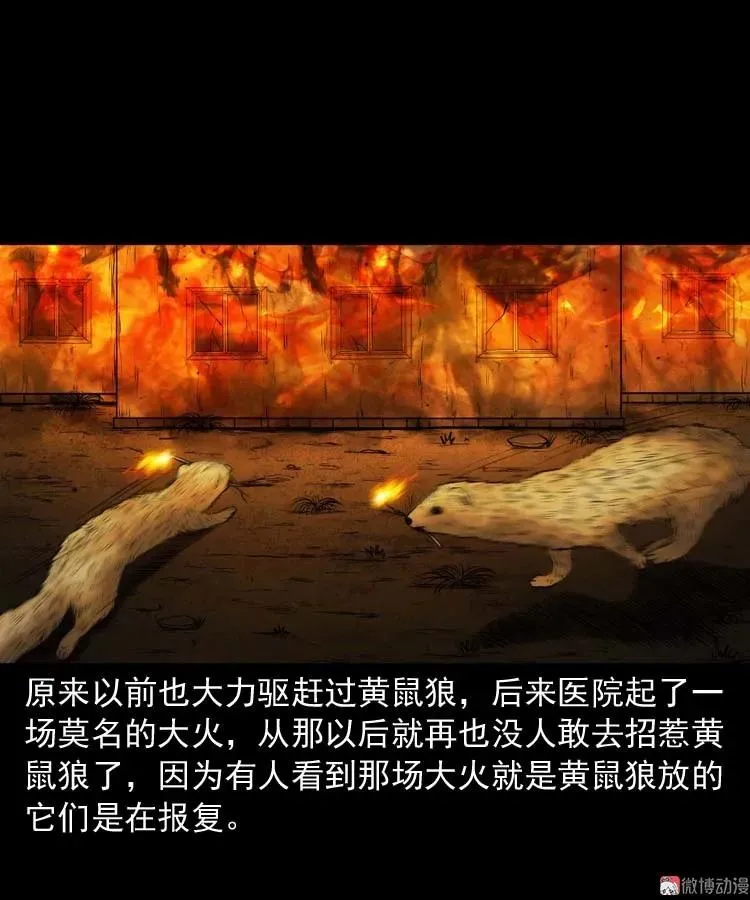 黄皮子医院64