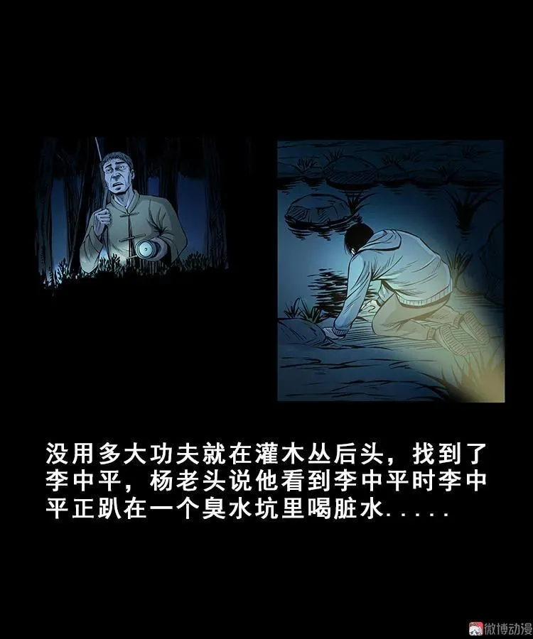人面獾29