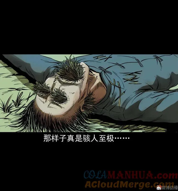 稻草人9
