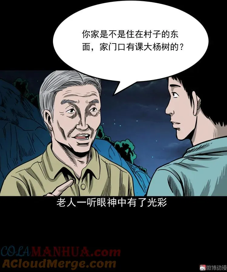 饺子30