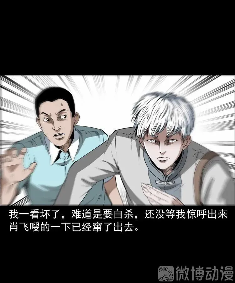 白头翁之恶咒23