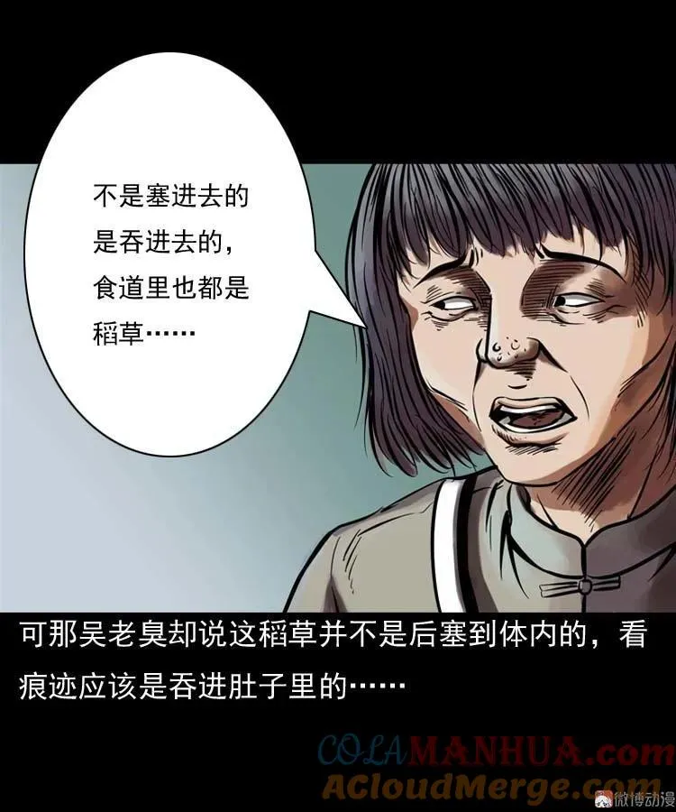 稻草人24