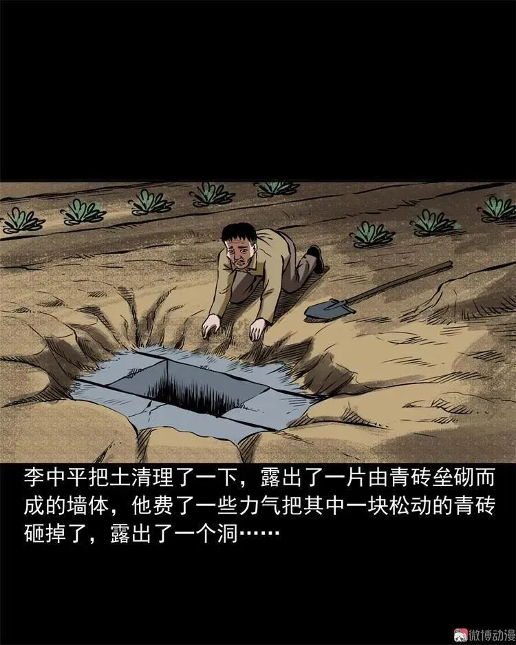 李中平的怪病41