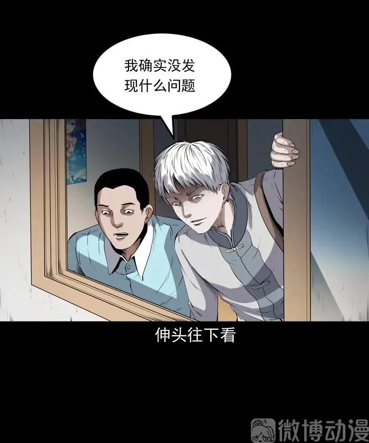 白头翁之猫灵51