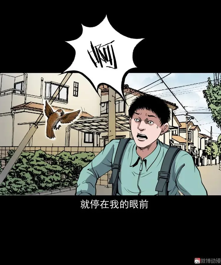 舅舅的故事61