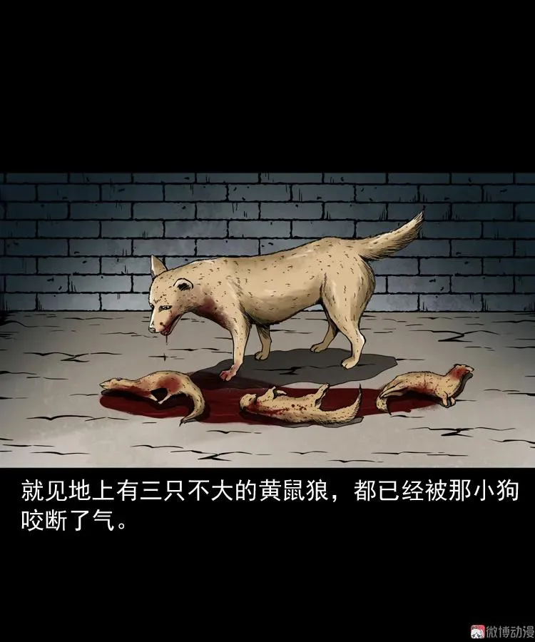 首富王大利70