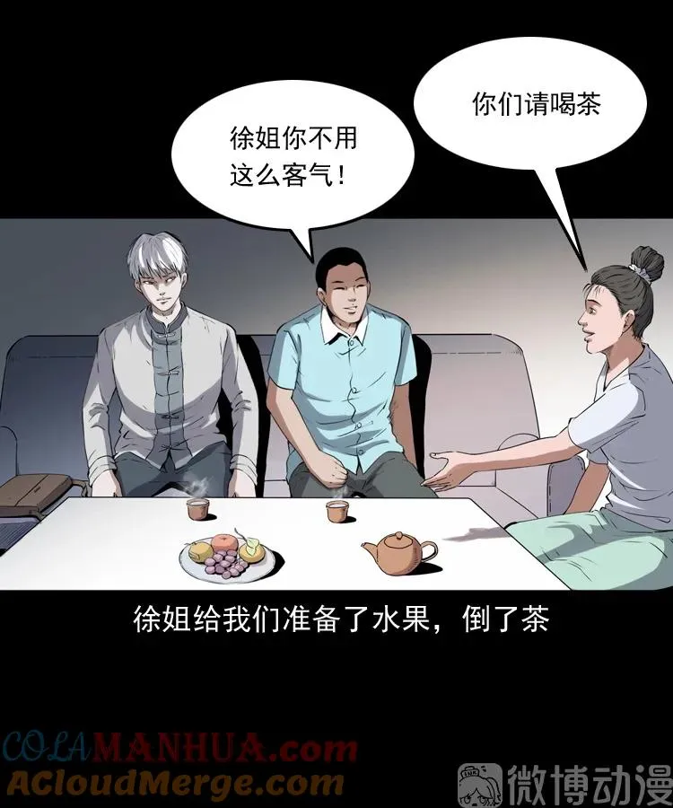 白头翁之猫灵16