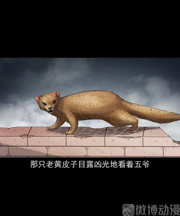 仙家异闻70