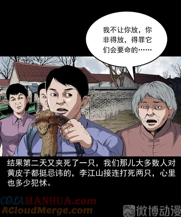 仙家异闻15