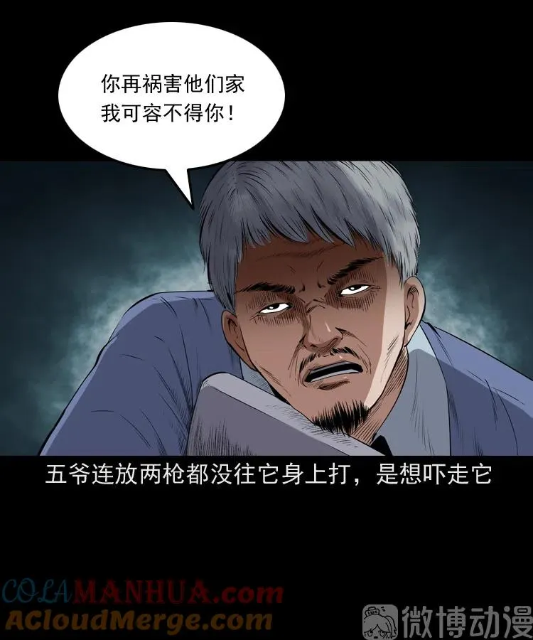 仙家异闻72