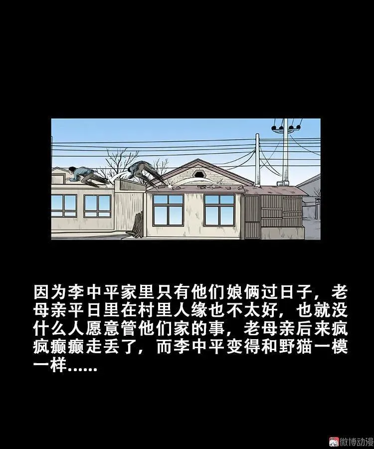 黑猫39