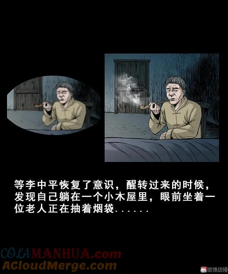 人面獾18