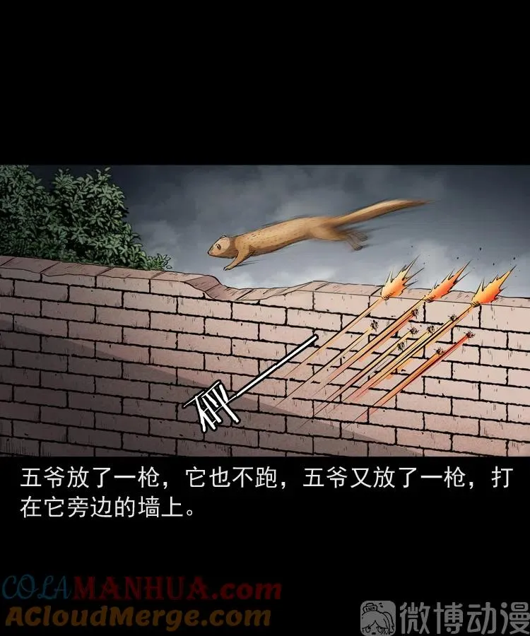 仙家异闻69