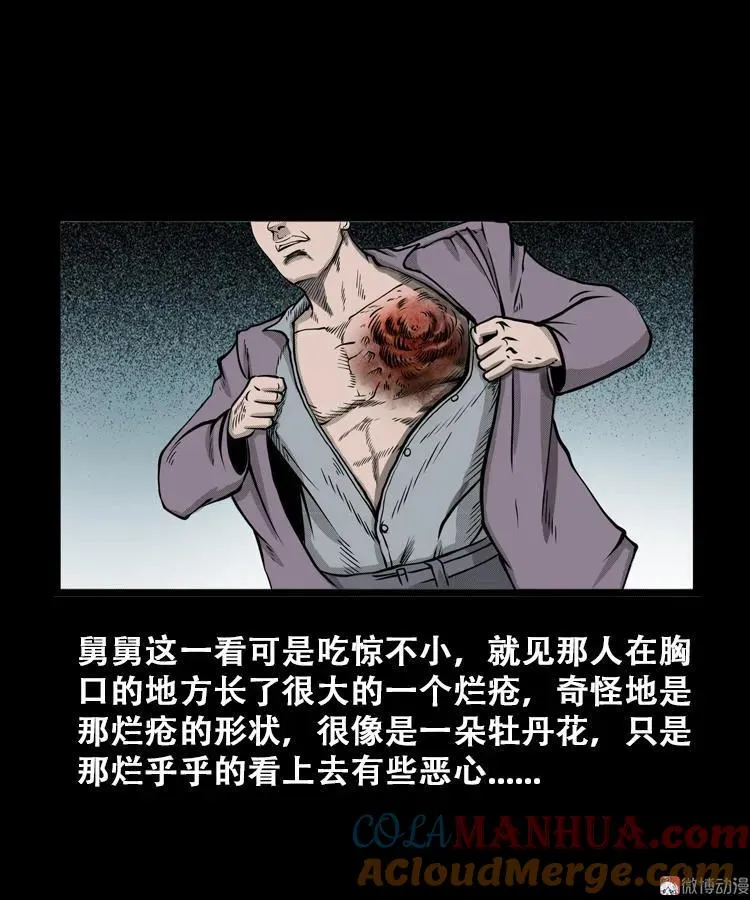 花疮咒9