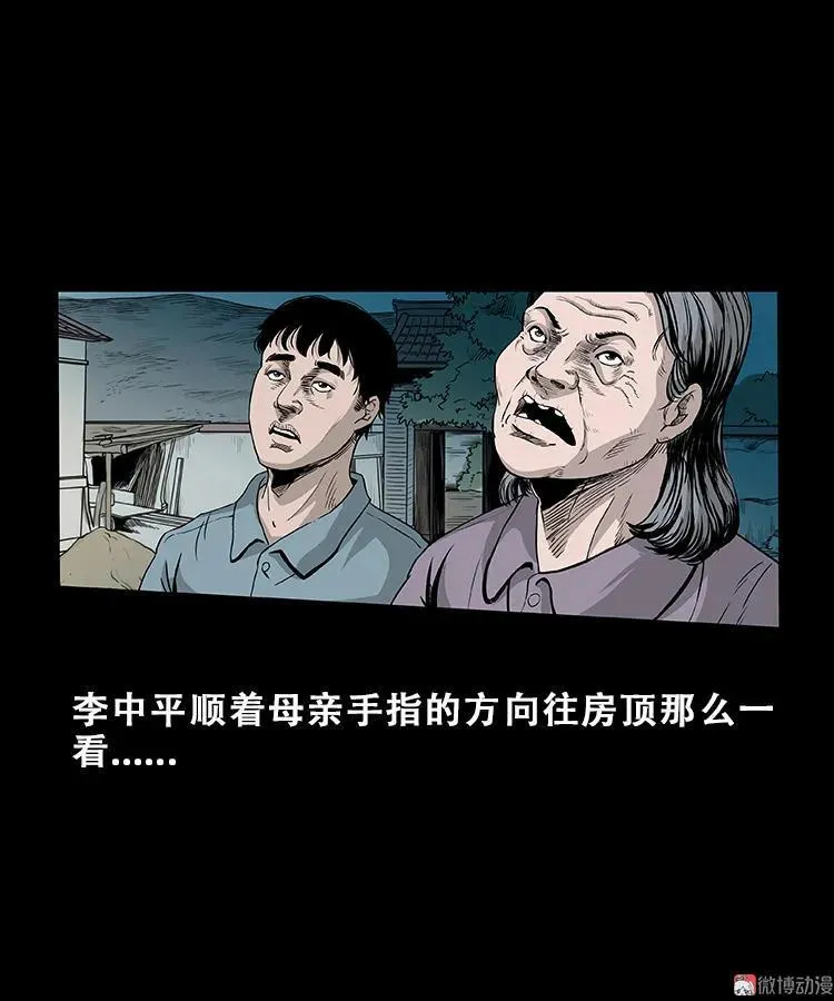 黑猫5