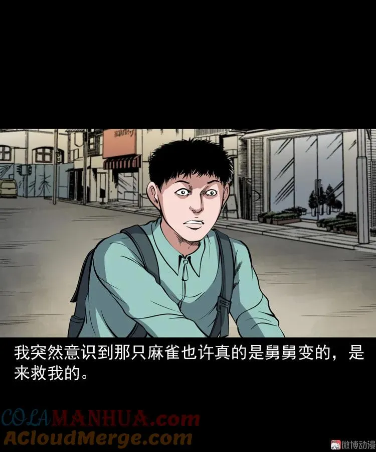 舅舅的故事72