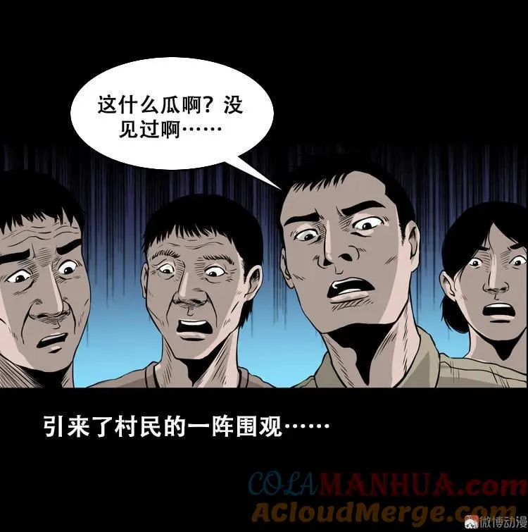 北瓜（上）30