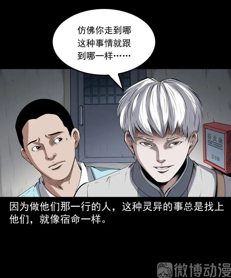 白头翁之猫灵7