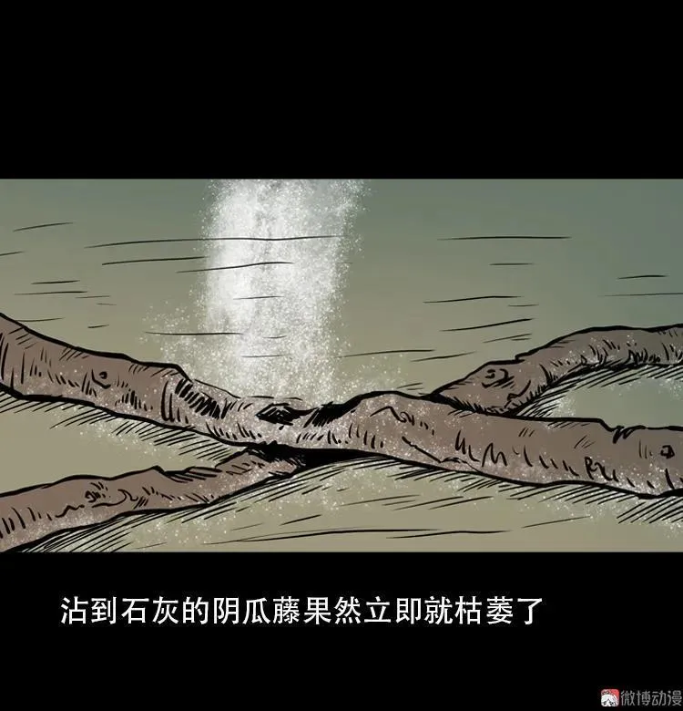 北瓜（下）91