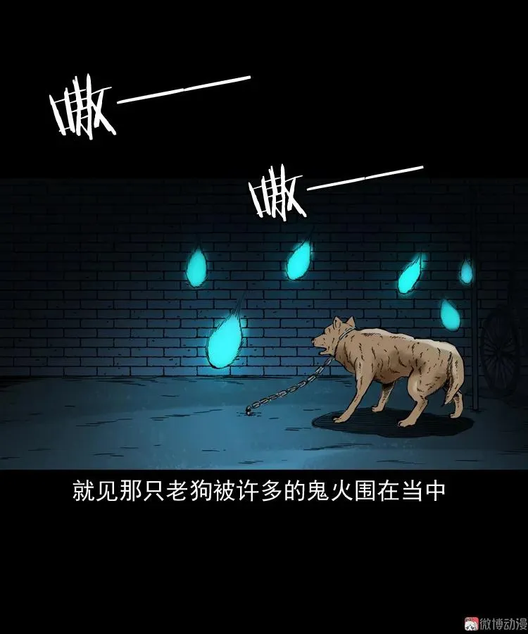 鬼火77