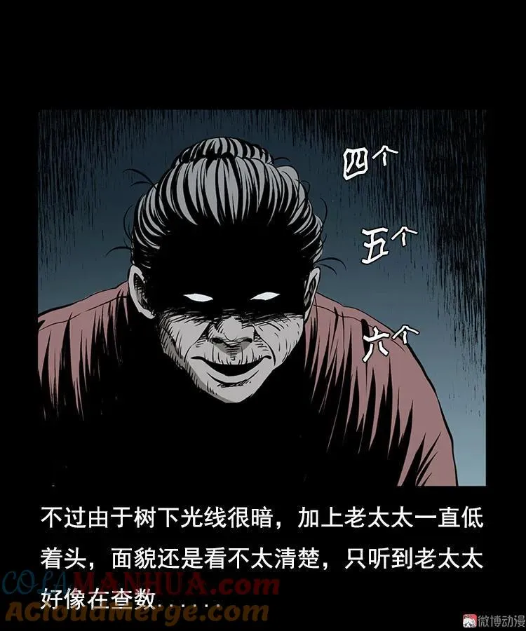 花柳树15