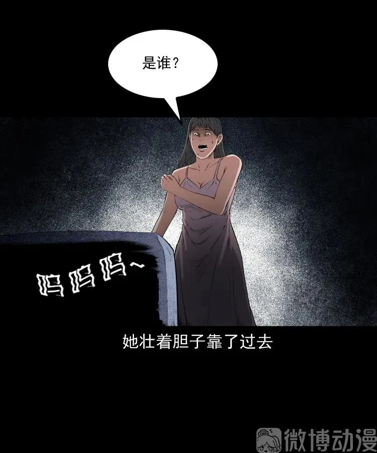 白头翁之猫灵34
