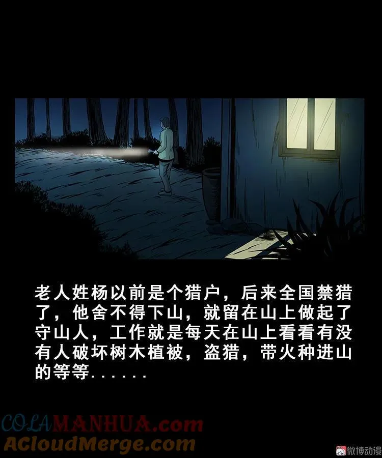 人面獾24