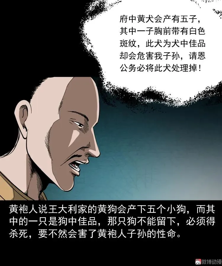 首富王大利43