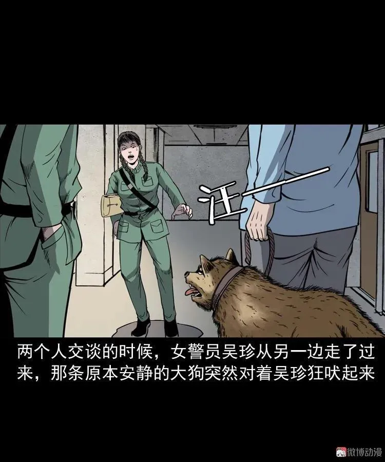 消失的妻子5