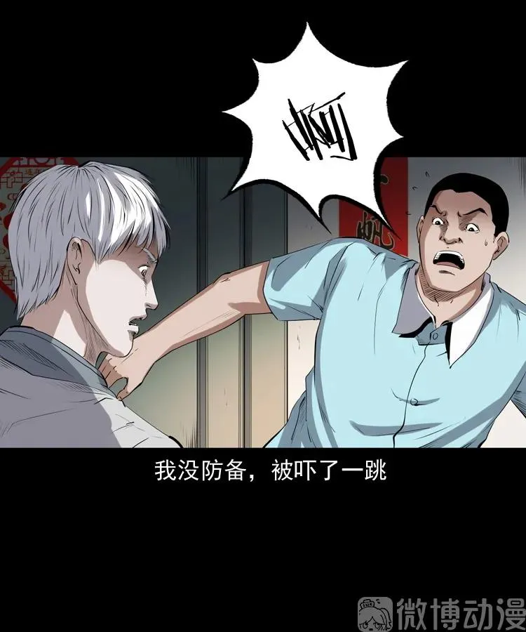 白头翁之猫灵11