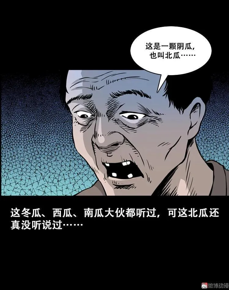 北瓜（上）38