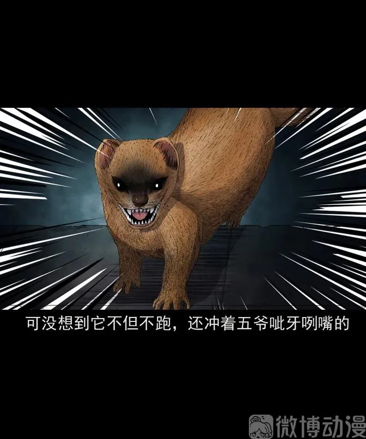 仙家异闻73