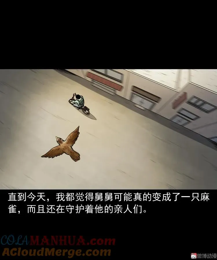舅舅的故事75
