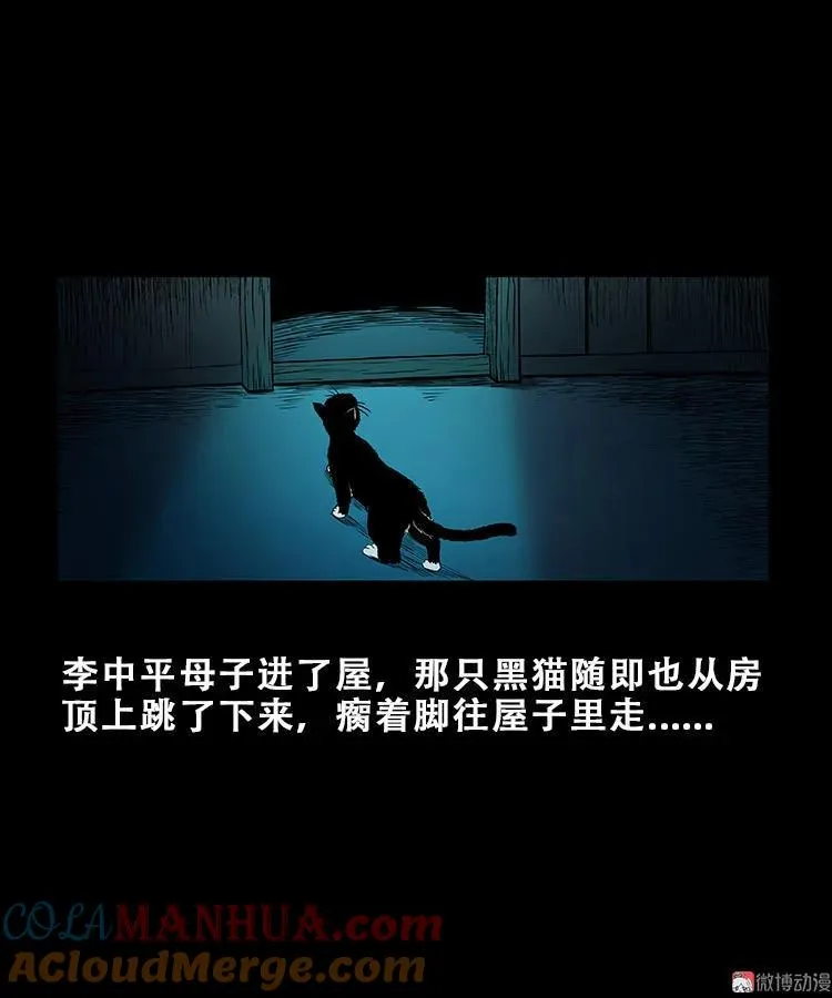 黑猫12