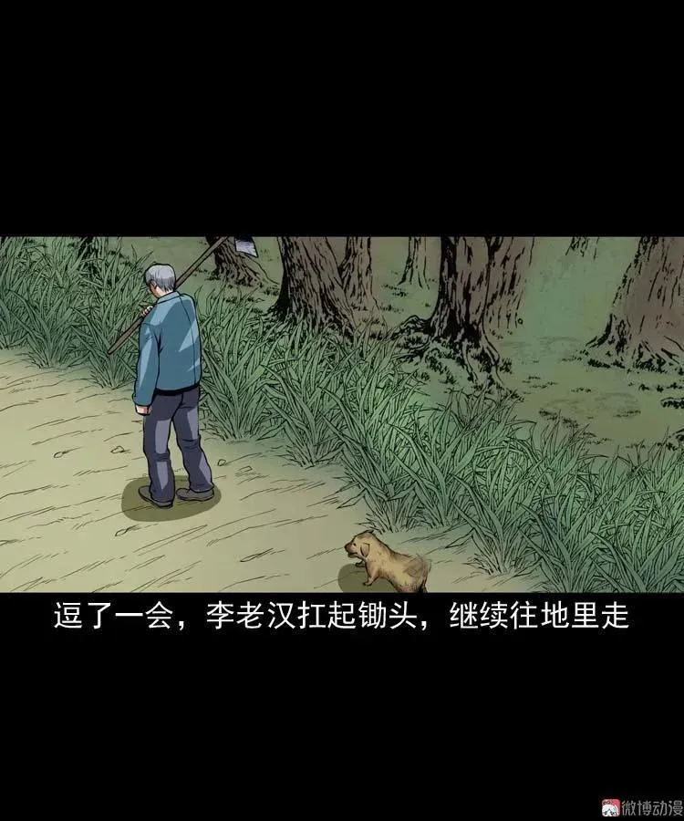 狗22