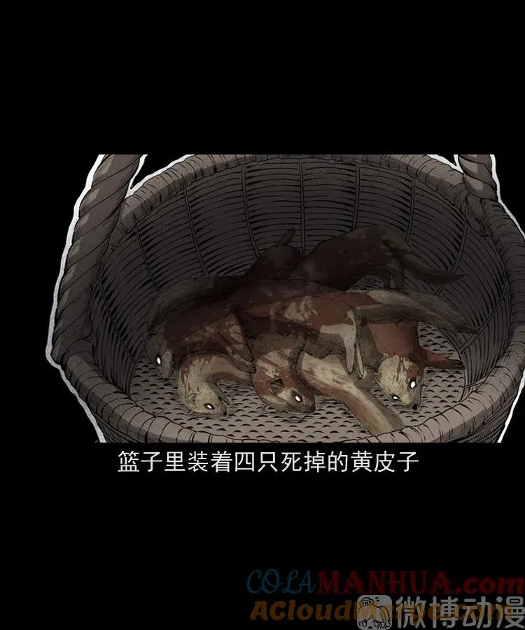 仙家异闻51