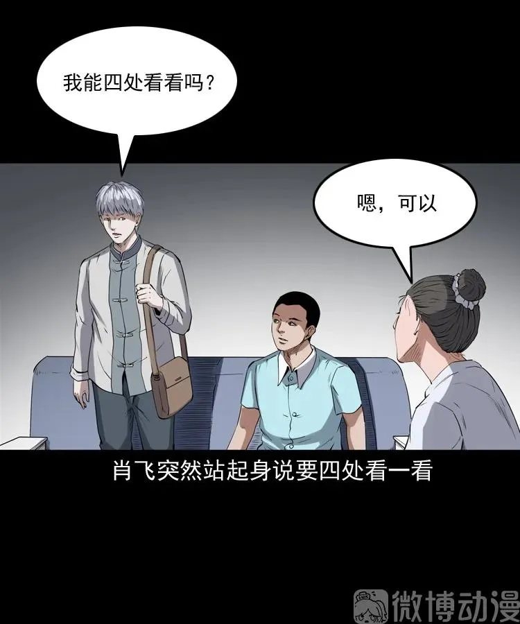 白头翁之猫灵45