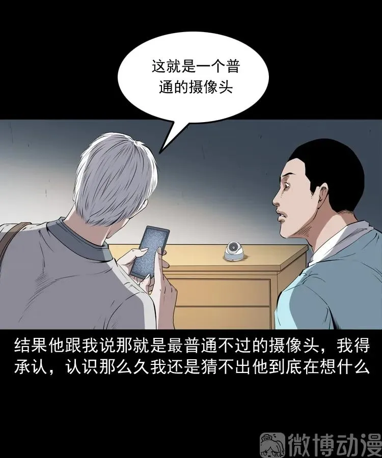 白头翁之猫灵57