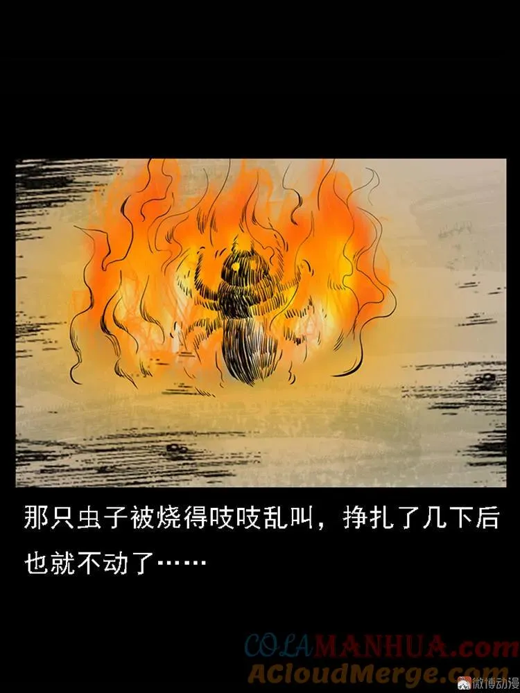 疯乞丐69