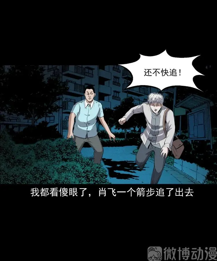 白头翁之猫灵73