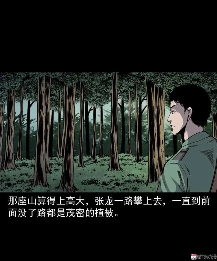 失踪案 251